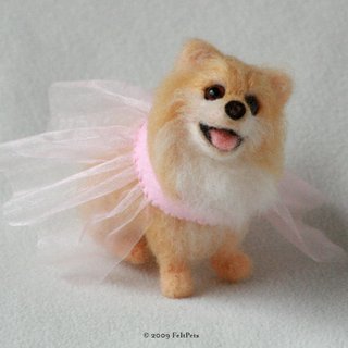 Pomeranian