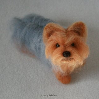 Silky Terrier