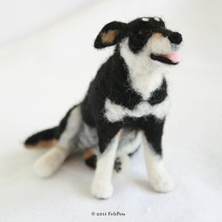 Collie X