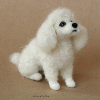 Miniature Poodle
