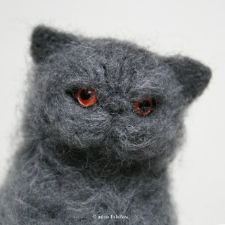 Russian Blue
