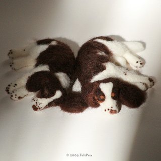 Cocker Spaniels