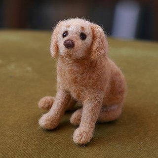 Labrador