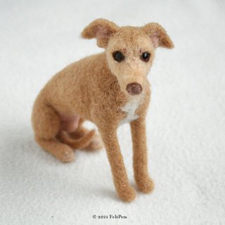 Whippet