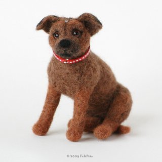 Staffordshire Terrier