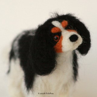 Cavalier King Charles Spaniel