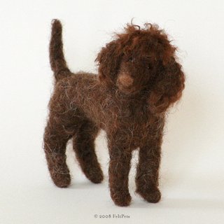 Standard Poodle